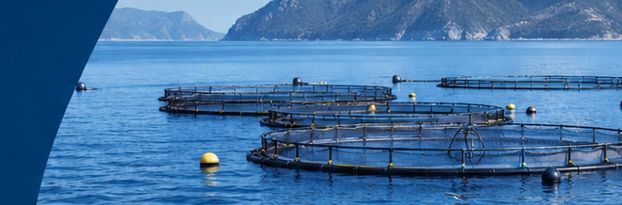 Public statement on aquaculture within FP10