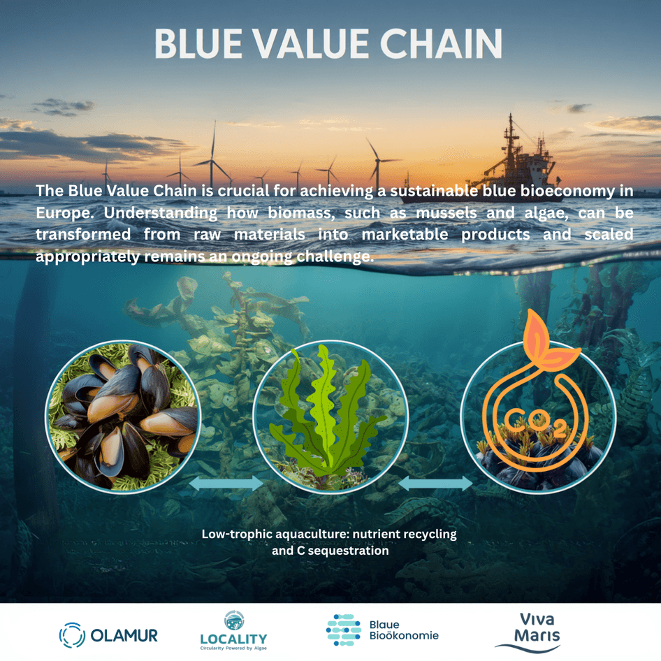 Blue Value Chains Webinar