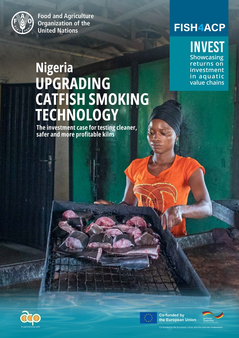 FISH4ACP - Nigeria: upgrading catfish smoking technology