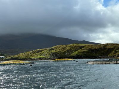 Mussel farm in the Killary Fjord