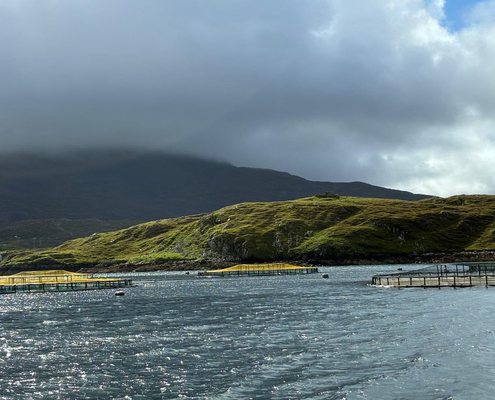 Mussel farm in the Killary Fjord, Ireland
