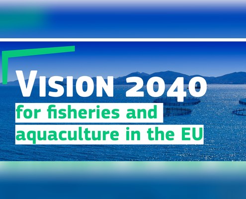 Vision 2040 for fisheries and aquaculture in the EU